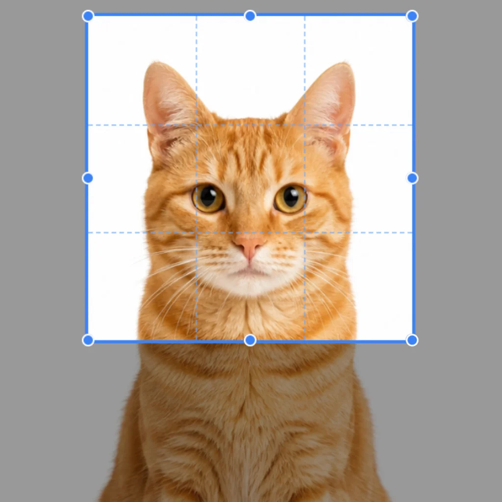 Same photo cropped to a tight 1:1 square for profile use